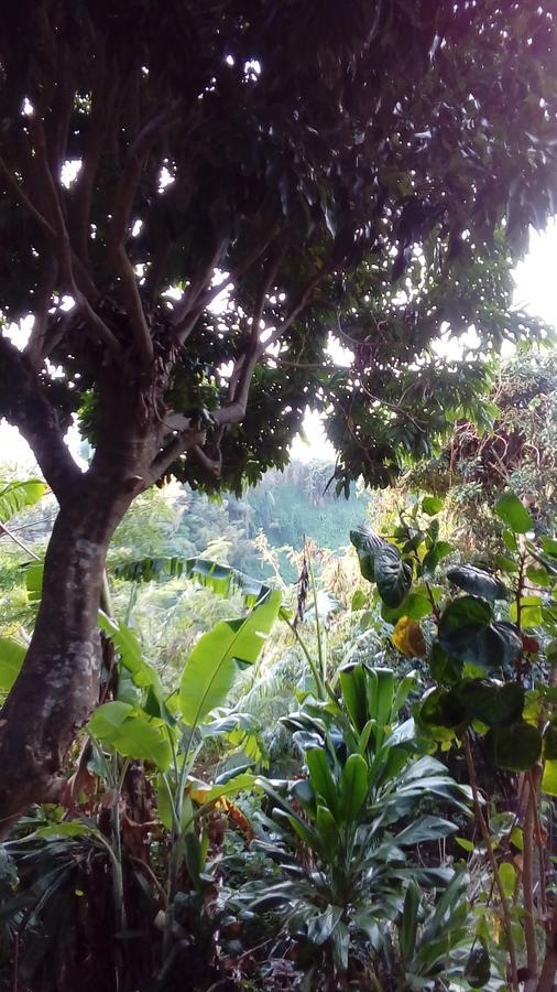 سانت ماري Villa Helena B&B المظهر الخارجي الصورة
